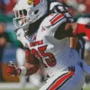 Louisville Cardinals Player Diamond Painting