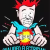 Qualified Electrician diamond painting art