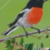 Scarlet Robin Bird Diamond Painting