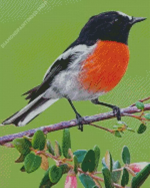 Scarlet Robin Bird Diamond Painting