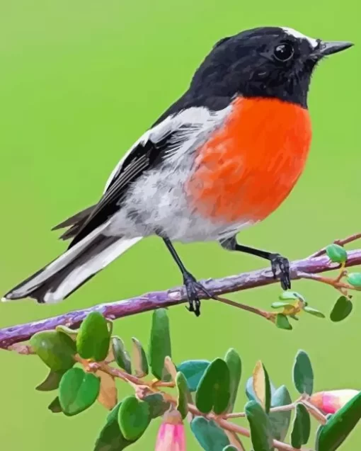 Scarlet Robin Bird Diamond Painting