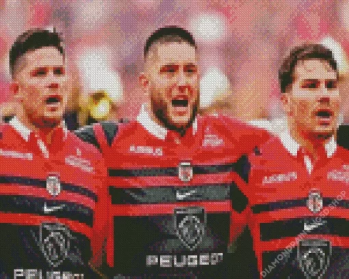 Stade Toulousain Diamond Painting