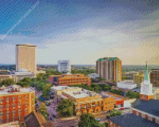 Tallahassee City Diamond Painting