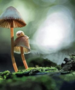 Mushroom And Snail Diamond Painting