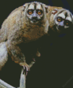 Night Monkey Diamond Painting