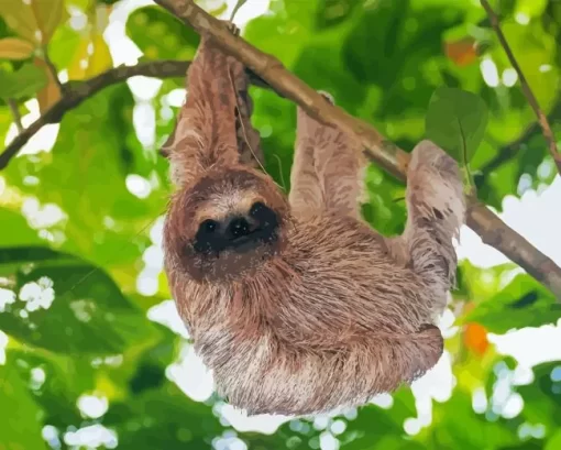 Sloth Branch Hanging Diamond Painting