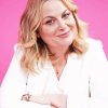 Amy Poehler Diamond Painting