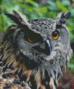 Eagle Owl Diamond Painting