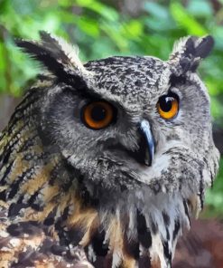 Eagle Owl Diamond Painting