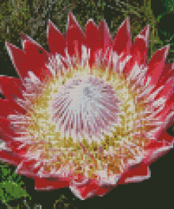 King Protea Diamond Painting