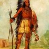 George Catlin Diamond Painting