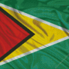 Guyana Flag Diamond Painting