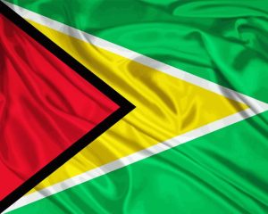 Guyana Flag Diamond Painting