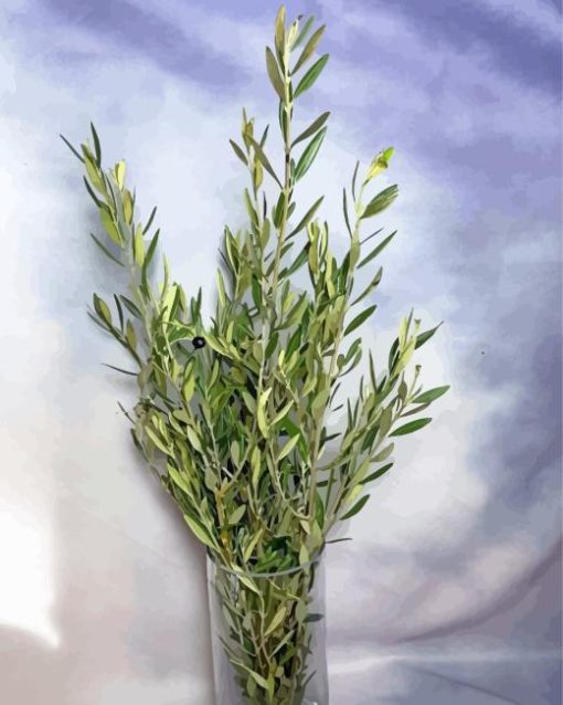 Olive Branch Diamond Painting