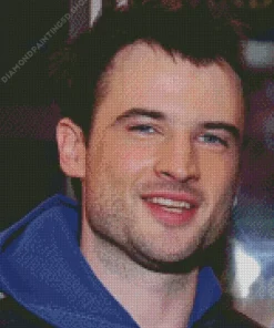 Tom Sidney Sturridge Diamond Painting