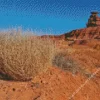 Tumbleweed Diamond Painting