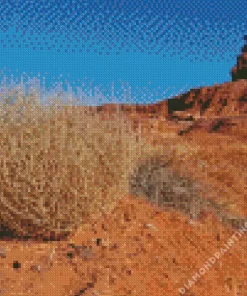 Tumbleweed Diamond Painting