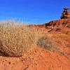 Tumbleweed Diamond Painting