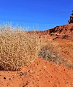 Tumbleweed Diamond Painting