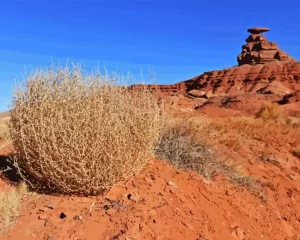 Tumbleweed Diamond Painting