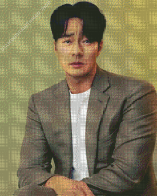 Aesthetic So Jisub Diamond Painting