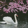 Cherry And Swan Diamond Painting