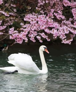 Cherry And Swan Diamond Painting