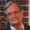 David Mccallum Diamond Painting