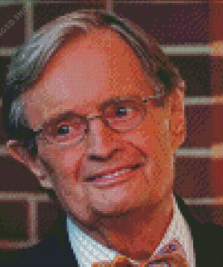 David Mccallum Diamond Painting