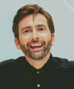 David Tennant Diamond Painting