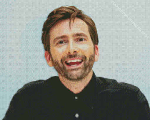 David Tennant Diamond Painting