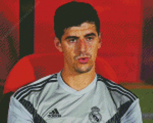 Thibaut Courtois Diamond Painting