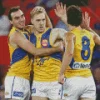 West Coast Eagles Diamond Painting