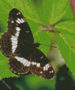 White Admiral Diamond Painting