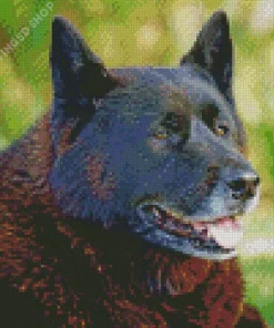 American Akita Diamond Painting