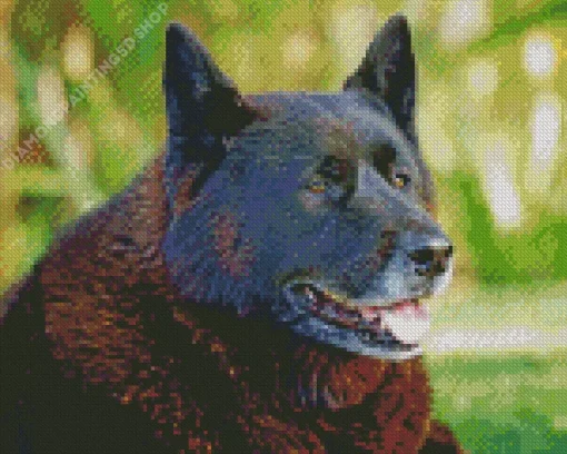 American Akita Diamond Painting