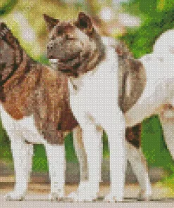 Akita Dogs Diamond Painting