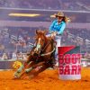 Barrel Racer Diamond Painting