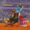 Barrel Racer Diamond Painting