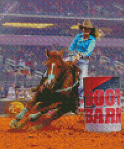 Barrel Racer Diamond Painting