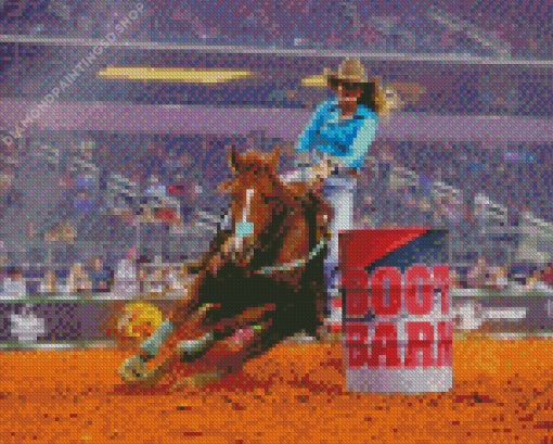 Barrel Racer Diamond Painting