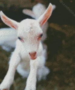 White Goat Diamond Painting