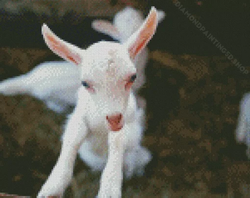 White Goat Diamond Painting