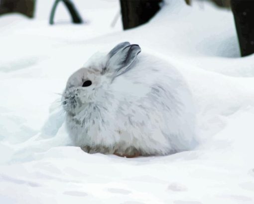 Snowshoe Hare Diamond Painting