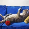 Cat On Sofa Diamond Painting