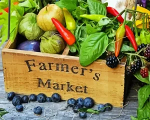 Farmer's Market Diamond Painting