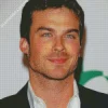 Lan Somerhalder Diamond Painting