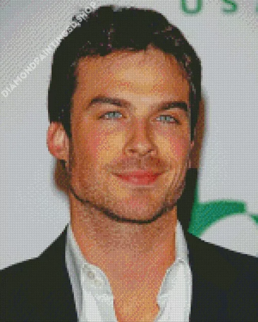 Lan Somerhalder Diamond Painting