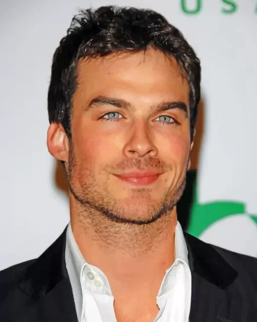 Lan Somerhalder Diamond Painting