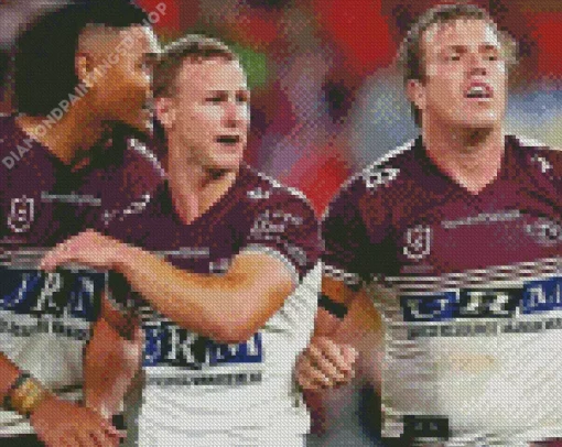 Manly Sea Eagles Diamond Painting